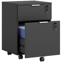 Caisson de Bureau 2 Tiroirs Verrouillables 42 × 40 × 60 cm