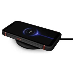 📱🛡️ Smartphone GIGASET GX4 PRO
