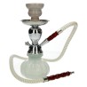 Chicha Ragga Pumpkin – Design Original et Robuste